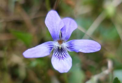 Прикрепленное изображение: изображение_viber_2022-03-28_12-02-01-092.jpg